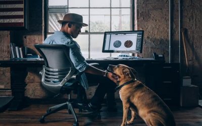 5 Reasons Why You Should Work in a Dog-Friendly Office