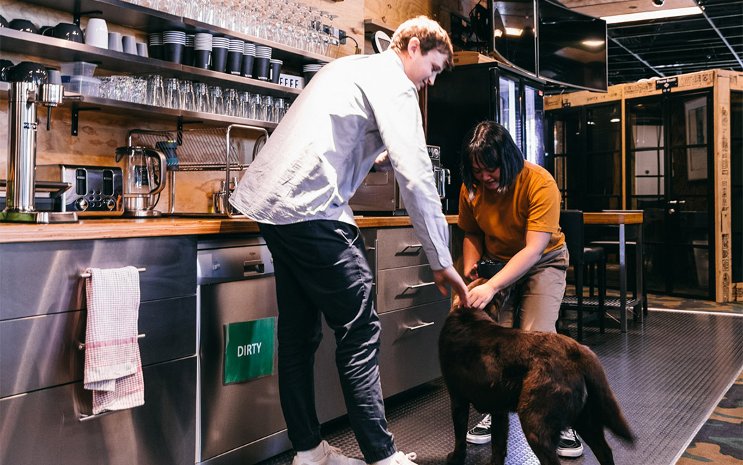 Casual kitchen area at Deskplex Office Space Hawthorn Richmond Abbotsford with stainless steel countertops, a 'DIRTY' labeled dishwasher, and shelves holding various glassware. Two individuals interact with a dog under wooden paneling and hanging lights, creating a friendly and inviting atmosphere